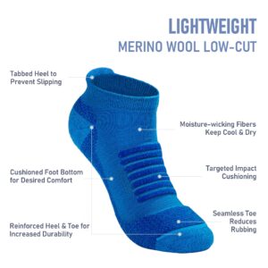 SAMSOX 2-Pair Merino Wool Running Socks, Blue L