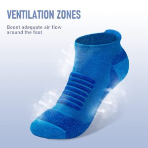 SAMSOX 2-Pair Merino Wool Running Socks, Blue L