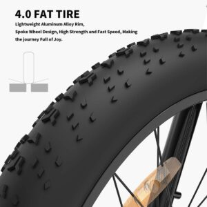 Aostirmotor 750W Electric Bike Fat Tire 48V 13AH Removable Lithium Battery and Fenders