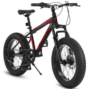 elecony ecarpat 20/24/26 inch fat tire mountain bikes 7-speed with mechanical disc brakes front suspension, mens womens all terrain mountain winter snow beach bicycles