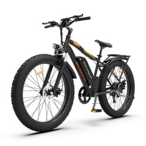 Aostirmotor 750W Electric Bike Fat Tire 48V 13AH Removable Lithium Battery and Fenders