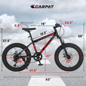 Elecony Ecarpat 20/24/26 Inch Fat Tire Mountain Bikes 7-Speed with Mechanical Disc Brakes Front Suspension, Mens Womens All Terrain Mountain Winter Snow Beach Bicycles