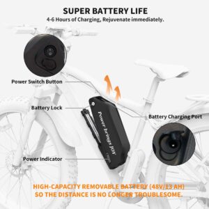 Aostirmotor 750W Electric Bike Fat Tire 48V 13AH Removable Lithium Battery and Fenders