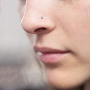 D.Bella 18G 20G Threadless Push in Nose Studs for Women Surgical Steel Straight Bar Nose Rings Studs 2mm 3mm 4mm Diamond CZ Nose Piercings Nostril Piercing Jewelry