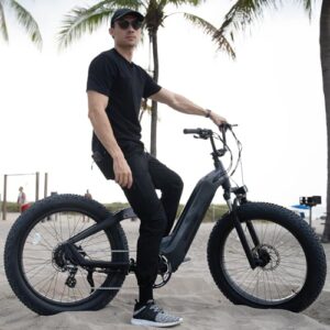 VELOWAVE Grace 2.0 48V 20AH Electric Bike for Adults 750W Bafang Motor Ebike with Fender Shimano 7-Speed 26" x 4.0 Fat Tire Step-Thru Electric Bicycle (Black/Grey)