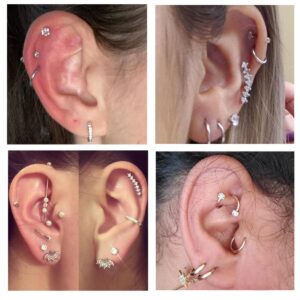 Palotay 16G Cartilage Earrings Stud Stainless Steel Earrings Helix Tragus Earrings Cartilage Hoop Earrings CZ Heart Butterfly Flower Hypoallergenic Cartilage Earrings Helix Tragus Conch Piercing