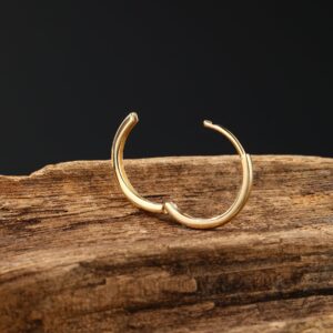 Jewseen 14K Gold Tiny Hoop Earrings Huggie Hoop Earrings 20G Small Endless Hinged Hoops for Earlobe 6mm 8mm 10mm Septum Hoop Septum Ring Cartilage Helix Earrings Nose Hoop for Women Men