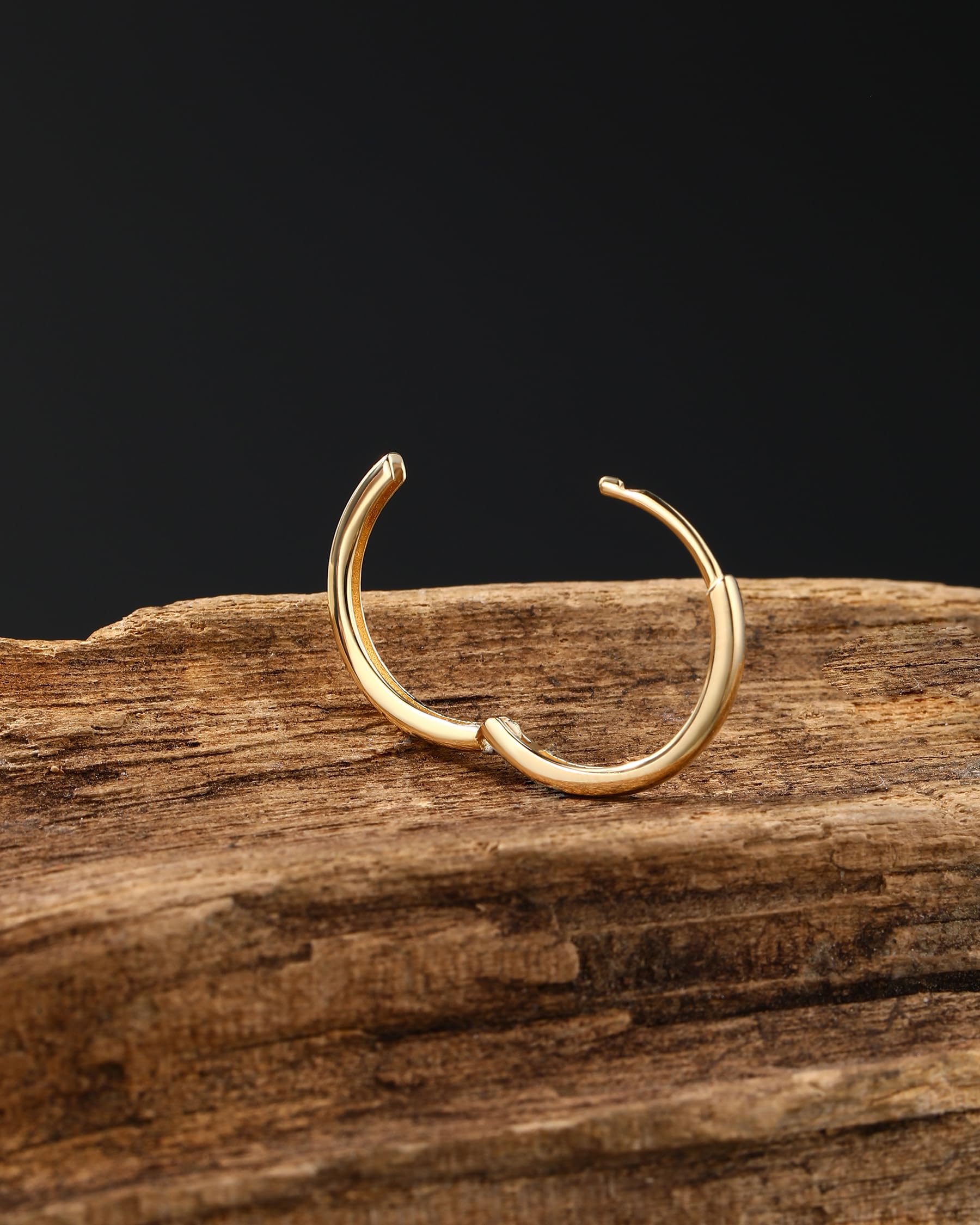 Jewseen 14K Gold Tiny Hoop Earrings Huggie Hoop Earrings 20G Small Endless Hinged Hoops for Earlobe 6mm 8mm 10mm Septum Hoop Septum Ring Cartilage Helix Earrings Nose Hoop for Women Men