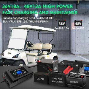 Haisito Golf Cart Battery Charger, 36Volt 48 Volt Lead-Acid Lithium Lifepo4 Smart Battery Charger, 48V EZGO Trickle Charger, 48 Volt Golf Cart Charger EZGO RXV plug