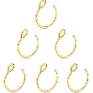 20G Fake Nose Ring Hoop Hypoallergenic,14K Gold Clip on Nose Ring No Piercing Needed Faux Nostril Piercing Jewelry,Nose,Set of 5Pcs (14K Gold)