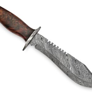 SFG - 13" Fixed Blade Hunting Bowie Knife, Damascus Steel Blade, Non-Slip Walnut Wood Handle, Lanyard Hole, Hunting, Camping, Backpacking, Fishing, Unique Gift Item For Him