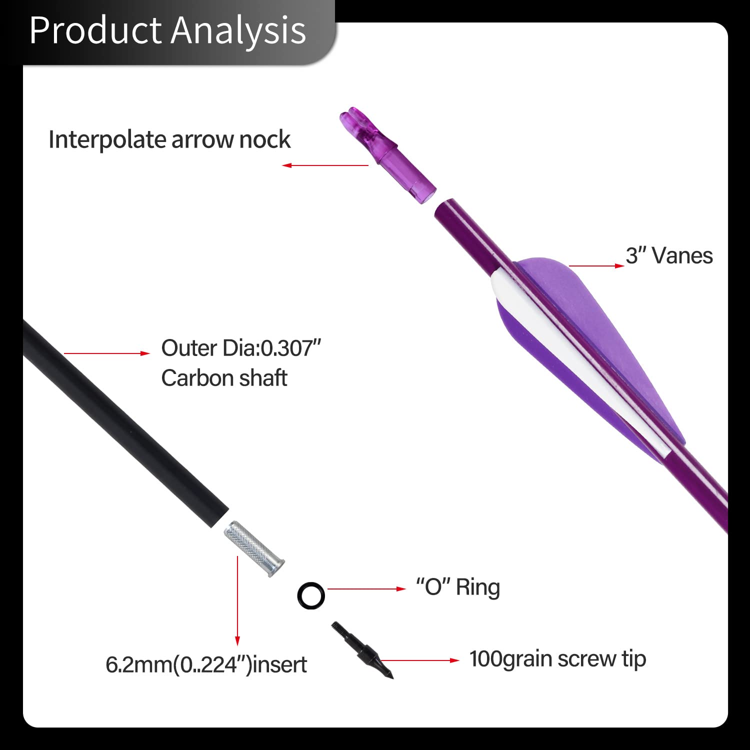 FENJANER Archery 30 inch Carbon Arrows Fluorescence Color Targeting and Practice and Hunting Arrows with Detachable Tip for Recurve Bow and Compound Bow(Pack of 12) (Purple)