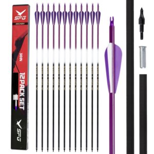 FENJANER Archery 30 inch Carbon Arrows Fluorescence Color Targeting and Practice and Hunting Arrows with Detachable Tip for Recurve Bow and Compound Bow(Pack of 12) (Purple)