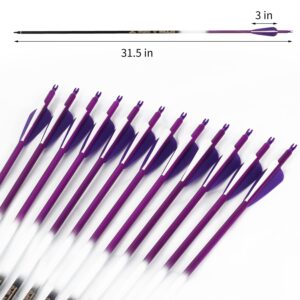 FENJANER Archery 30 inch Carbon Arrows Fluorescence Color Targeting and Practice and Hunting Arrows with Detachable Tip for Recurve Bow and Compound Bow(Pack of 12) (Purple)