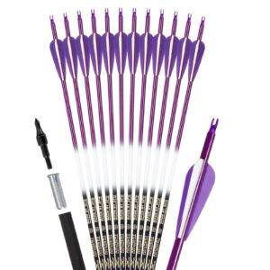 FENJANER Archery 30 inch Carbon Arrows Fluorescence Color Targeting and Practice and Hunting Arrows with Detachable Tip for Recurve Bow and Compound Bow(Pack of 12) (Purple)