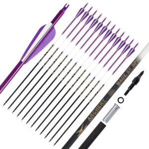 FENJANER Archery 30 inch Carbon Arrows Fluorescence Color Targeting and Practice and Hunting Arrows with Detachable Tip for Recurve Bow and Compound Bow(Pack of 12) (Purple)