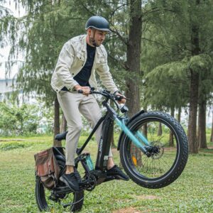 HAOQI Cheetah Electric Bike for Adults Peak 1000W UL 2849 Certified 48V 16AH/25Ah Battery Adult Electric Bicycles 26”*4”Fat Tire Full Suspension 28MPH Mountain Ebike 7 Speed Max 85 Miles Range