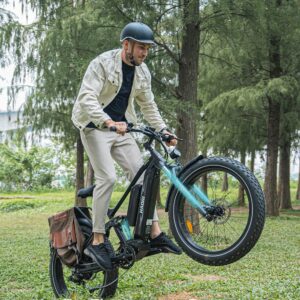 HAOQI Cheetah Electric Bike for Adults Peak 1000W UL 2849 Certified 48V 16AH/25Ah Battery Adult Electric Bicycles 26”*4”Fat Tire Full Suspension 28MPH Mountain Ebike 7 Speed Max 85 Miles Range