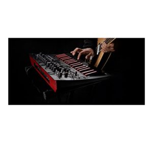 Korg miniloguebass 4-voice Polyphonic Analog Synthesizer