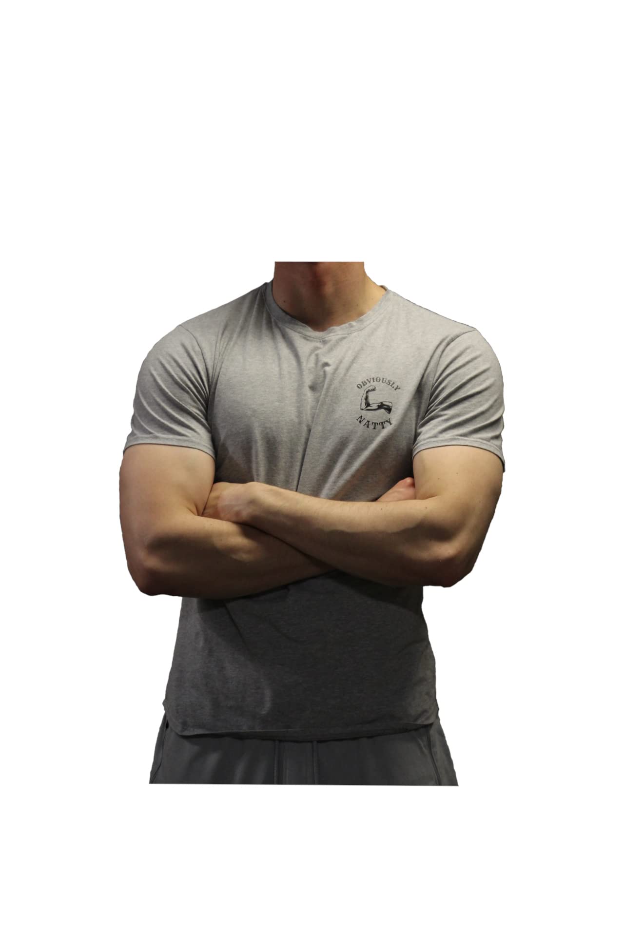 Obviously Natty Gym T-Shirt Grey