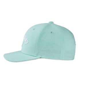 Callaway Golf Performance Pro Tour Cap Collection Headwear (OS, Mint/White)