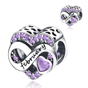 GOINEVA Birthstone Charms for Bracelet Necklace 925 Sterling Silver Love Heart Charms Happy Birthday Charms for Women Jewelry Gift（February）