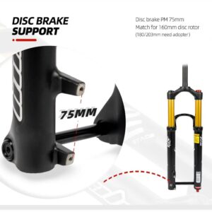 Bike Air Fork 27.5/29 Inch Downhill Mountain Bike Suspension Forks Travel 140mm Rebound Adjust Manual Lockout 1-1/8'' Straight/Tapered Front Fork Thru Axle 15x110mm Boost XC/DH/AM ( Color : Black Stra