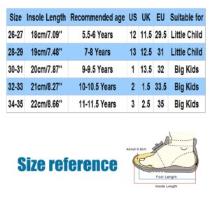 Girls Boys Home Slippers Warm Dinosaur House Slippers for Toddler Lined Winter Indoor Black Mary Jane Shoes for Girls (Grey, 5.5-6 Years)