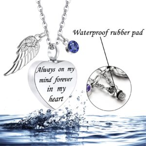 Cremation Urn Necklace for Ashes set of 5 -Crystal Heart Cremation Jewelry Memorial Jewelry for Ashes of Loved Ones Keepsake Urn for Human Ashes Pendant Necklace for Women Men (Blue 5 Pcs)