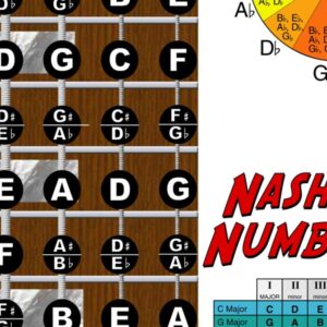 Laminated 6 String Bass Fretboard Notes Chart Nashville Number System & Circle of 5ths Easy Instructional Poster for Beginner for Notebook - A New Song Music 8.5 x 11