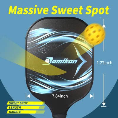 Damikan DM2 Pickleball Paddle I Lightweight Fiberglass Paddle I Durable Polymer Honeycomb Core I Cushioned Grip Handle