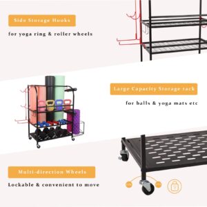 RM FOLD ART Weight Rack for Dumbbells, Yoga Mat Holder Dummbbells Rack for Kettlebells Foam Rollers and More Gym Accessories, Home Gym Equipment Storage Organizer with Wheels and Basket