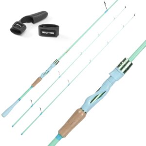 HAUT TON Macaroon-DX Spinning Rods,24Ton 6'10"IM6 Graphite Carbon Fiber Fishing Rods,Twin-Tip,MediumLight Rodpower,Matcha/GR&Blueberry Fishing Pole