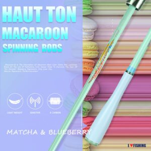 HAUT TON Macaroon-DX Spinning Rods,24Ton 6'10"IM6 Graphite Carbon Fiber Fishing Rods,Twin-Tip,MediumLight Rodpower,Matcha/GR&Blueberry Fishing Pole