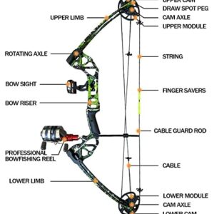 PANDARUS Bowfishing Bow Kit with Arrow Ready to Shoot Right Handed 15-45 LBS Draw Length 18"-29.5" Adjustable,Axle-to-Axle: 34.2",Complete Compound Bow Fishing Kit 2024 New（Black Left Handed）