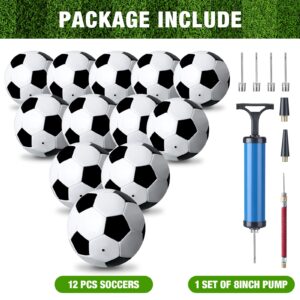 Yunsailing 12 Pack Sports Soccer Balls Size 5 with Pump for Youth Kids Girls Boys Adults, Black and White