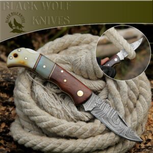 Back Lock Handmade Folding knifeBack Lock Pocket knife Damascus Steel Blade Back Lock Camel Bone Handle Leather Sheath BW-5173