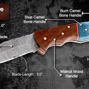 Back Lock Handmade Folding knifeBack Lock Pocket knife Damascus Steel Blade Back Lock Camel Bone Handle Leather Sheath BW-5173