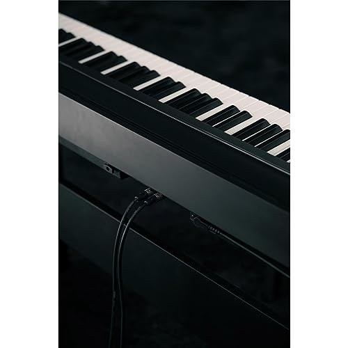 Kawai ES120 88-key Digital Piano with Speakers - Black