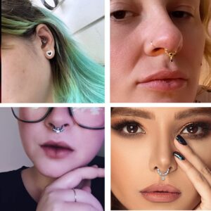 EVISPOL 2Pcs 16G Septum Nose Rings for Women Men, Stainless Steel Halloween Bat Septum Jewelry Dangle Hinged Nose Rings CZ Septum Clicker Cartilage Daith Tragus Helix Ear Piercing Jewelry-Danlge-Silver