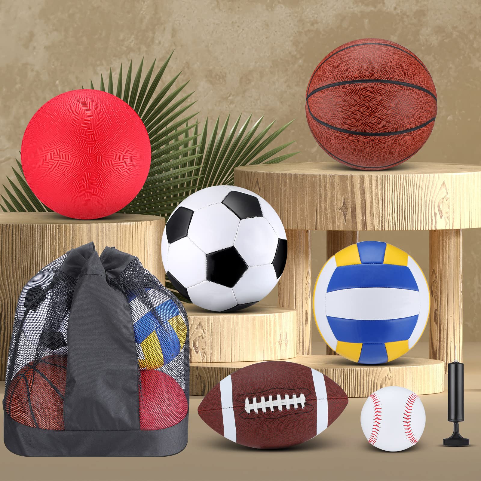 Libima 6 Pcs Multi Sport Ball Set Official Size Football, Basketball, Soccer, Volleyball, Playground Ball, Baseball with Sports Equipment Bag Pump for Teen Adult Christmas(Classic Style)