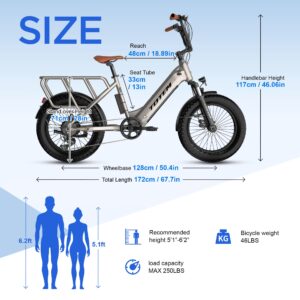 Totem Electric Bike Commuter Cargo-750W Motor Adult Electric Bicycles, 20"×3.0" Fat Tire Cargo Ebike with 48V 15Ah Removable Lithium Battery,Mechanical Locking Suspension Fork-Silver