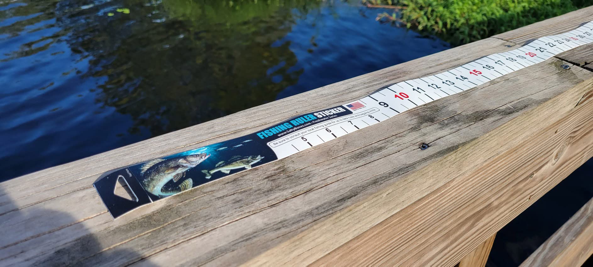 Salty Bones 36" Fishing Ruler Sticker - Walleye Edition - Made in The USA