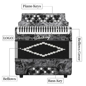 31-Key Diatonic Accordion, 12 Bass, G/C/F, Accordion Instruments for Adults With Suitcase, Cleaning Cloth, Straps and Gloves (Sliver)