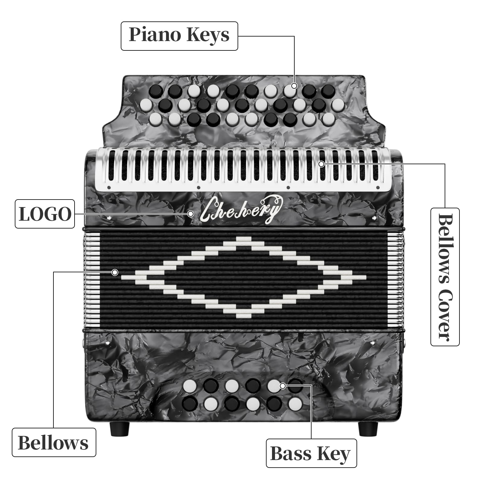 31-Key Diatonic Accordion, 12 Bass, G/C/F, Accordion Instruments for Adults With Suitcase, Cleaning Cloth, Straps and Gloves (Sliver)