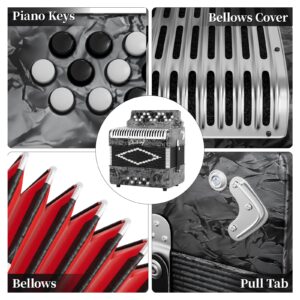 31-Key Diatonic Accordion, 12 Bass, G/C/F, Accordion Instruments for Adults With Suitcase, Cleaning Cloth, Straps and Gloves (Sliver)