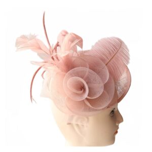 SHUERIET Fascinators Hat Flower MeshVeil Ribbons Feathers on a Headband and a Clip Tea Party Headwear for Girls and Women (a3-Skin Pink)