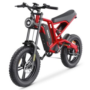 Hidoes Electric Bike 1600W (Peak) 20 * 4" Fat Tire 40MPH 30-60Mile Moped, 15.6Ah Winter Snow Beach Hill Mountain Electric Bicycle Commuting Motorcycle, 8-Layer Suspension Dual Brakes for Adults Teens