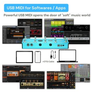 Paint Audio MIDI Captain Foot Controller Multi-Effects Keyboards Synthesizer USB-MIDI musical software Bias with Time Engine Function Support all PC/CC/Note commander 10 Foot Switches (Blue)