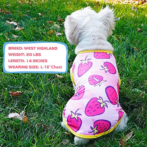 KYEESE 2 Pack Dog Shirt for Medium Dogs Breathable Lightweight Dog T-Shirts with Reflective Label Tank Top Great for Summer Sleeveless Vest Dog Apparel Strawberry Pattern, 2L, Strawberry+Rose